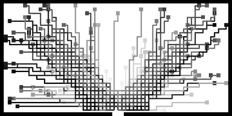 cellular automata : paths of all individuals